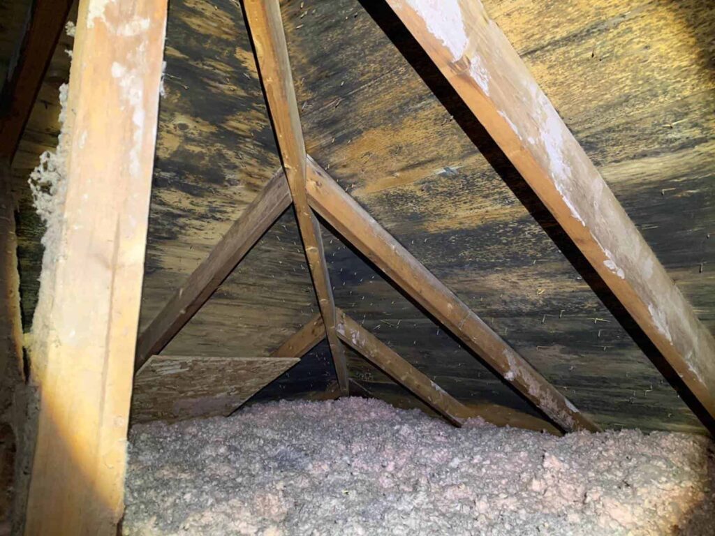 image of an attic with mold infestation