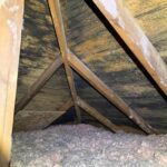 image of an attic with mold infestation